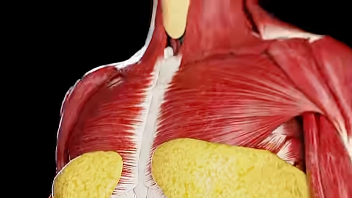 Eye-opening simulation shows exactly what happens to your body when you fast for 24 hours
