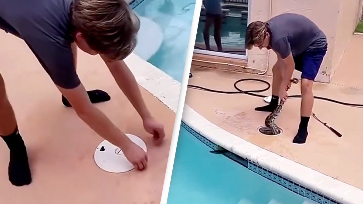 Residents make terrifying discovery inside pool filter and take drastic measures