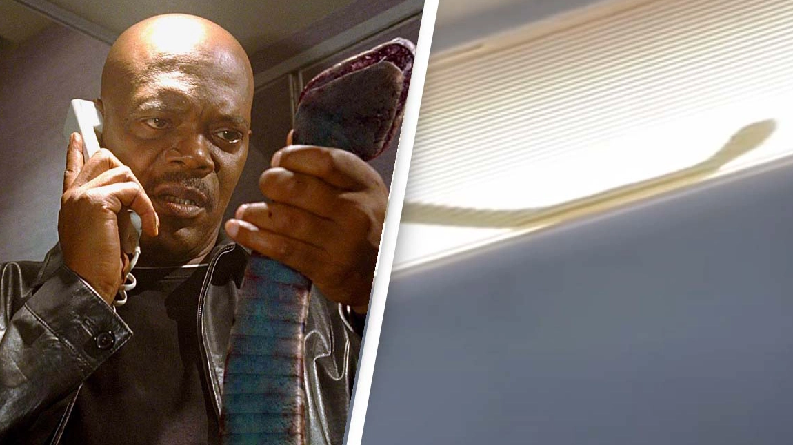 'Snakes On A Plane' Comes To Life In Skin-Crawling Footage