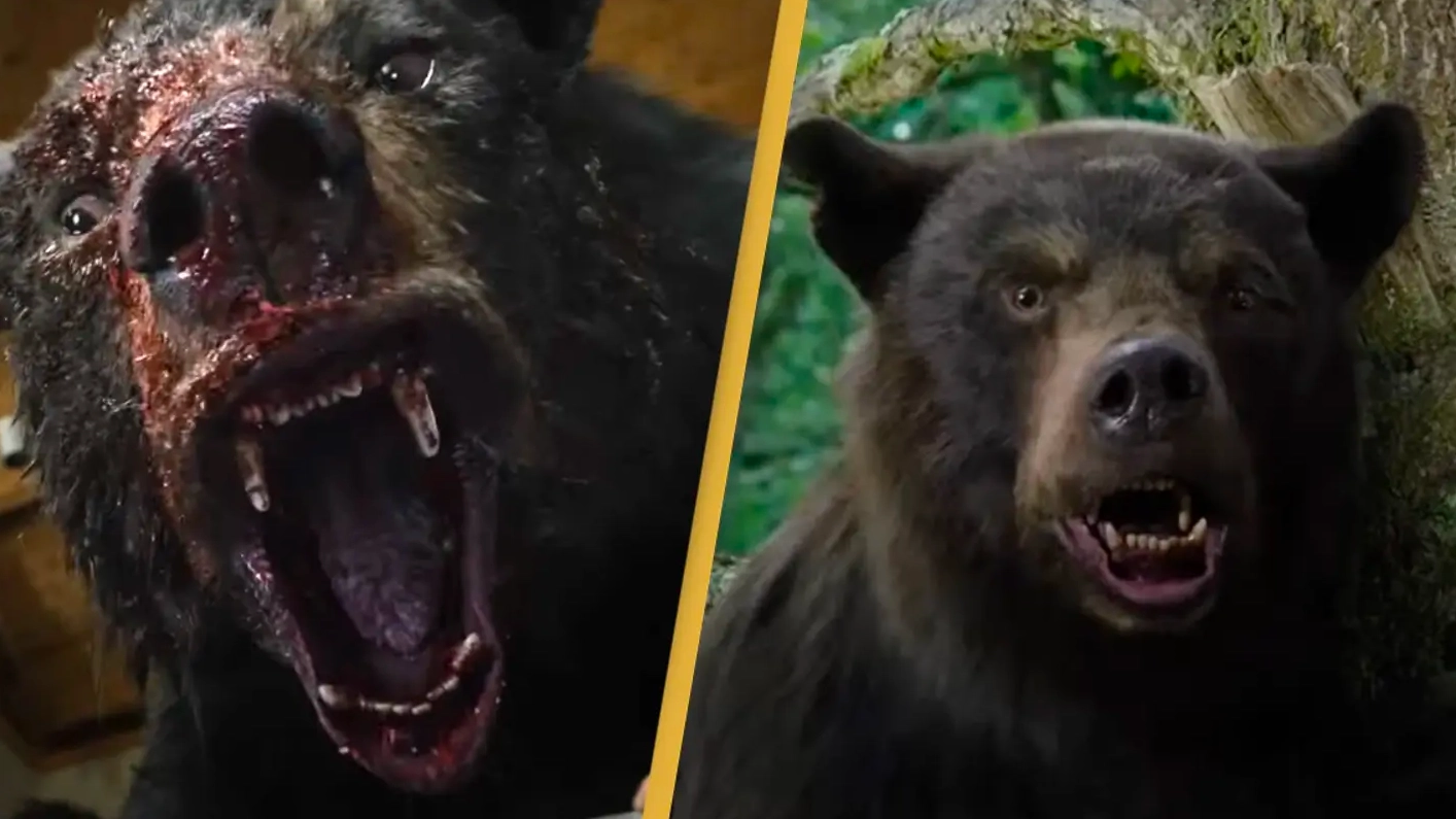 The unbelievable true story behind film about a bear who ate 70lbs of cocaine