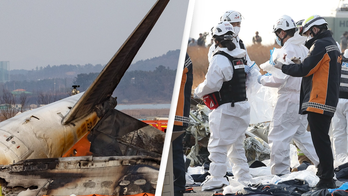 Passenger sent heartbreaking final text message before plane skidded and crashed killing 179 people