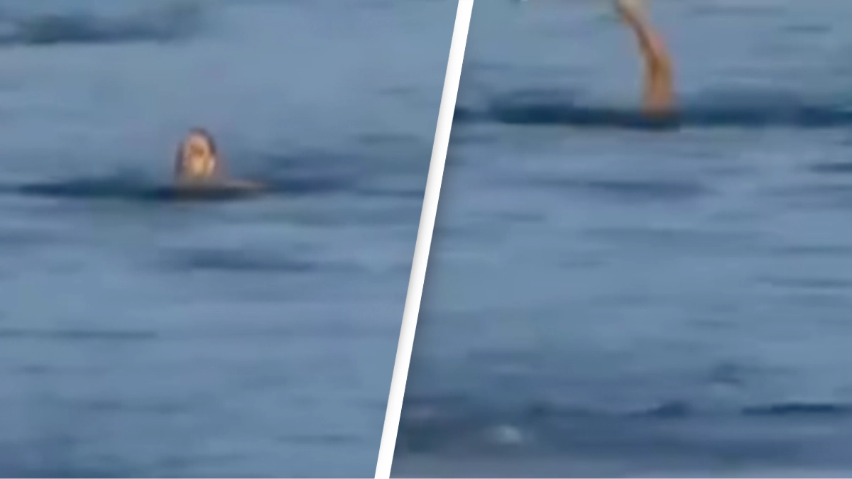 Harrowing moment swimmer disappears under the water at CrossFit Games before being found dead