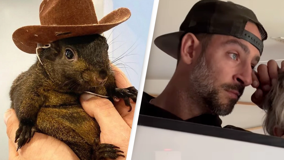 Owners of internet sensation Peanut the Squirrel speak out after he was seized and euthanized by NY state
