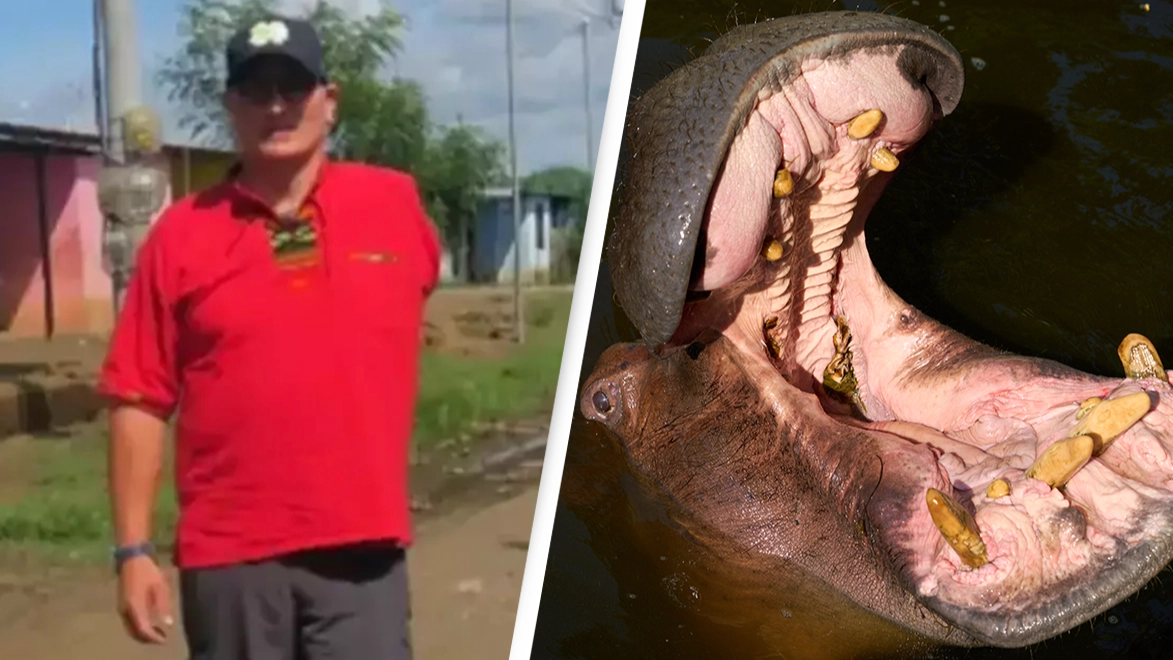  Man ripped apart and swallowed by hippo three times recalls the moment everything ‘went dark’