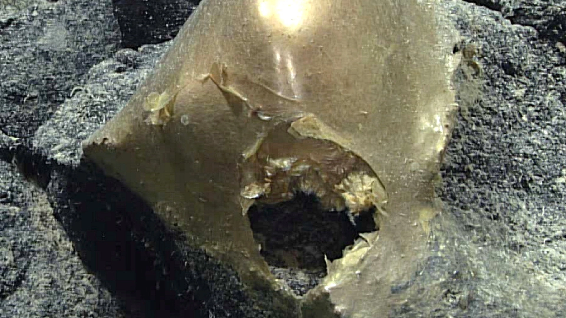 Mysterious golden orb likened to 'horror movie' finally explained after years of questions