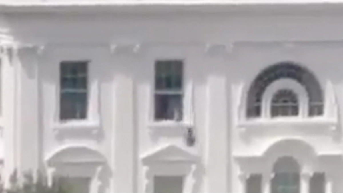 Everyone’s saying the same thing as bizarre video of black bags being thrown out of White House window goes viral