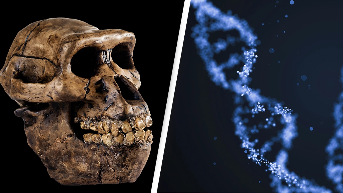 Humans may have been having kids with neanderthals much longer than we thought