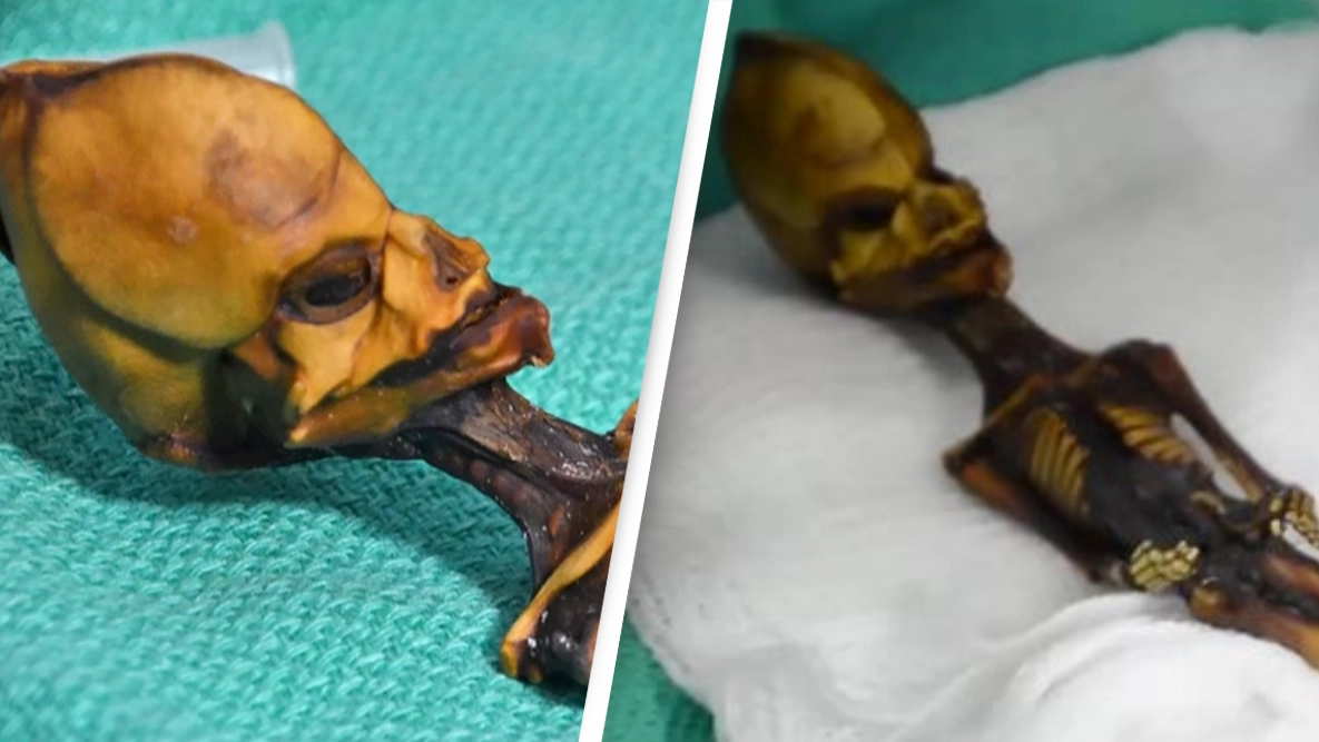 The story of 'alien' mummy found in the desert which rewrote history
