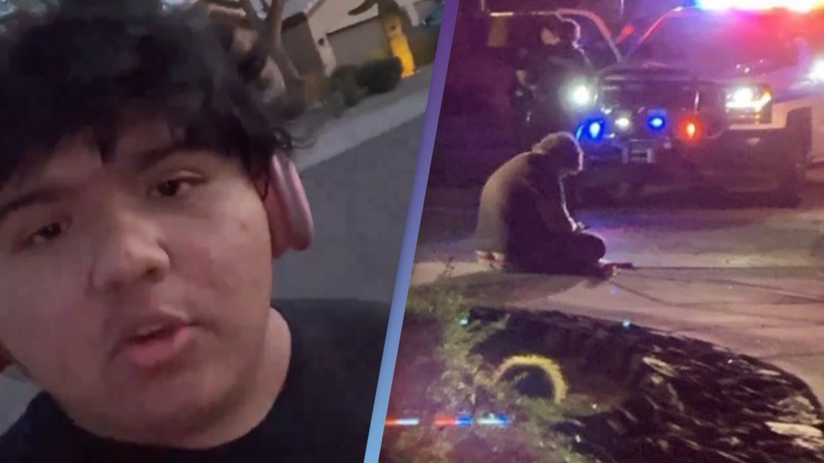 Dua Lipa fan calls police after Nicki Minaj fan flies to his house to settle debate