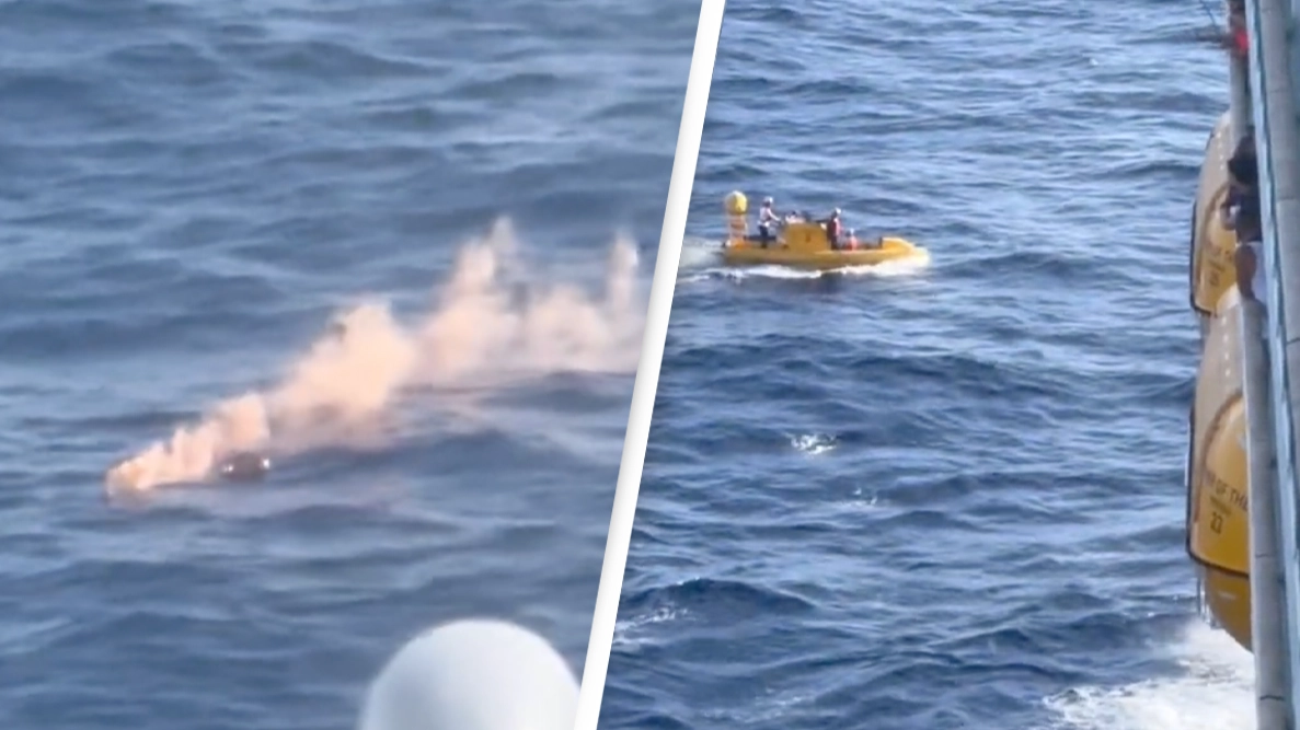 Cruise ship passenger miraculously survives after falling overboard from 10th deck