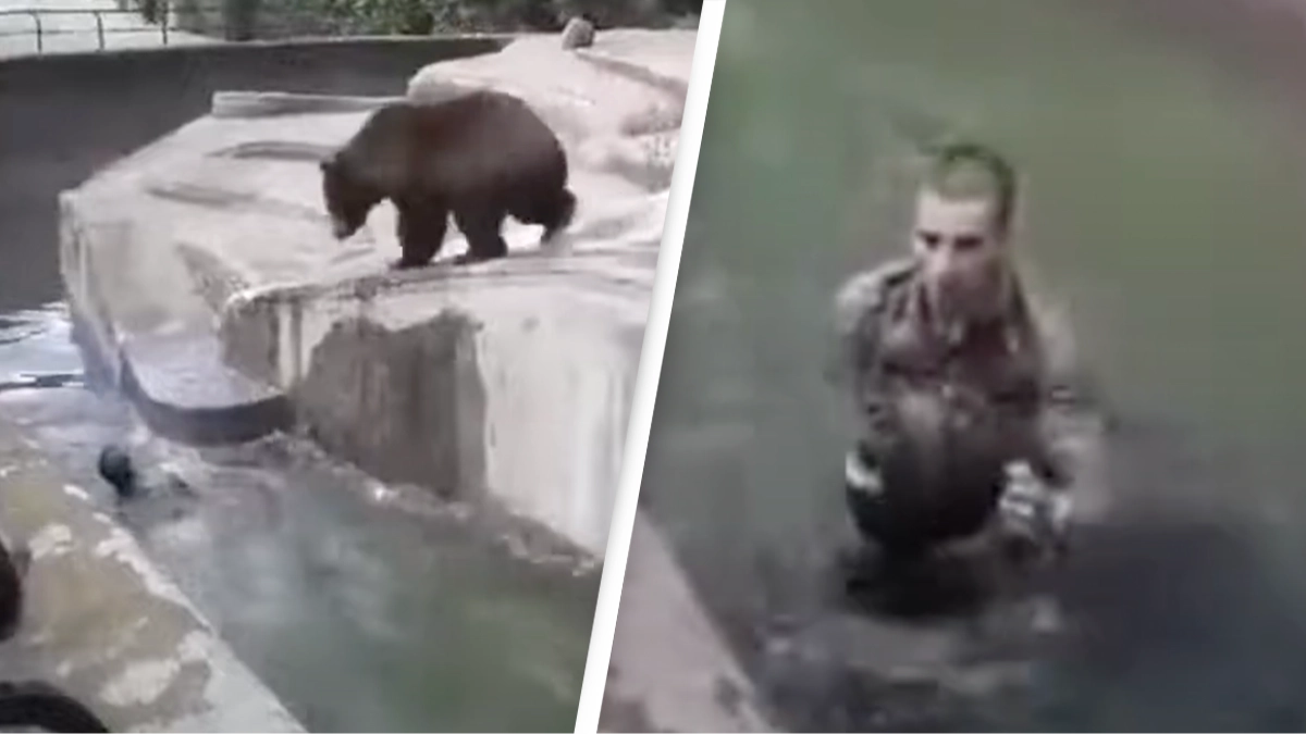 Shocking footage shows 'drunk' man jumping into bear enclosure and wrestling it