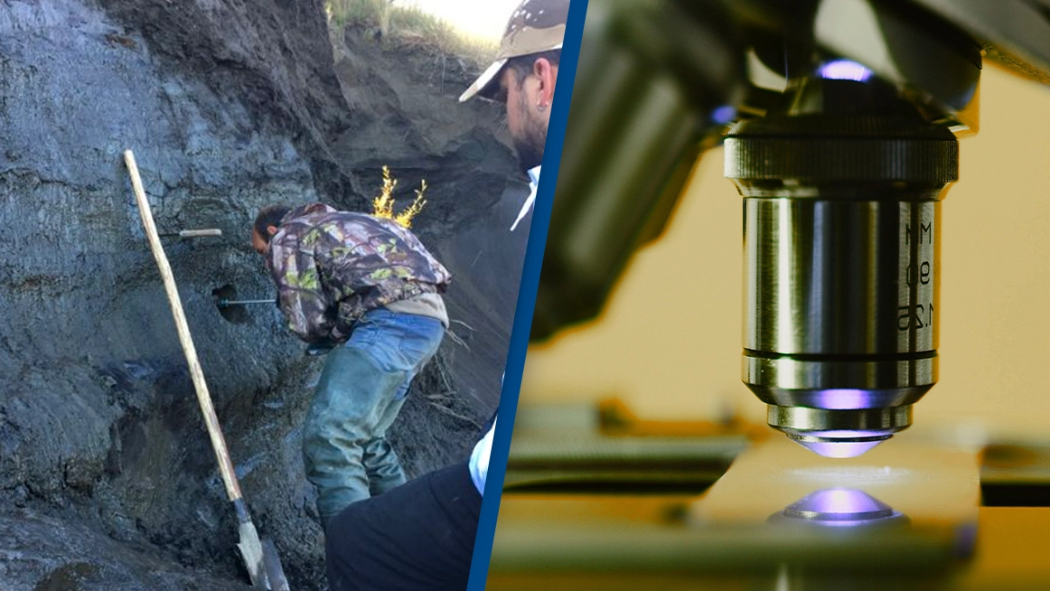 Scientist revives 48,500-year-old 'zombie' virus found in Siberian permafrost