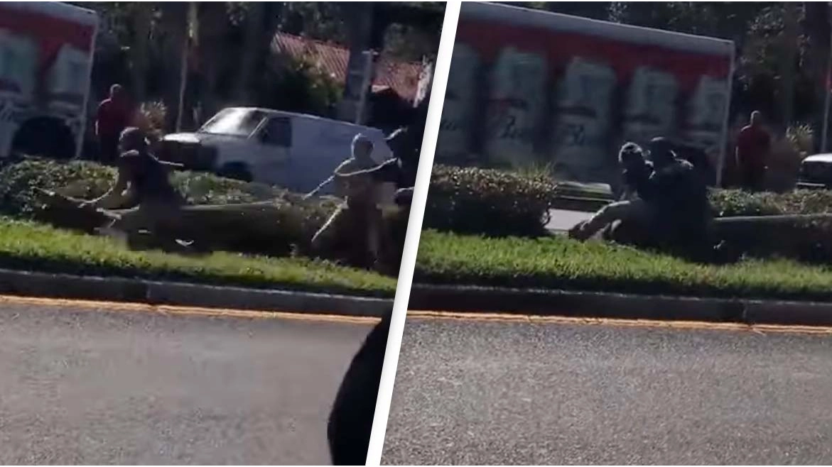 Crocodile Causes Chaos After Dangerous Zoo Escape