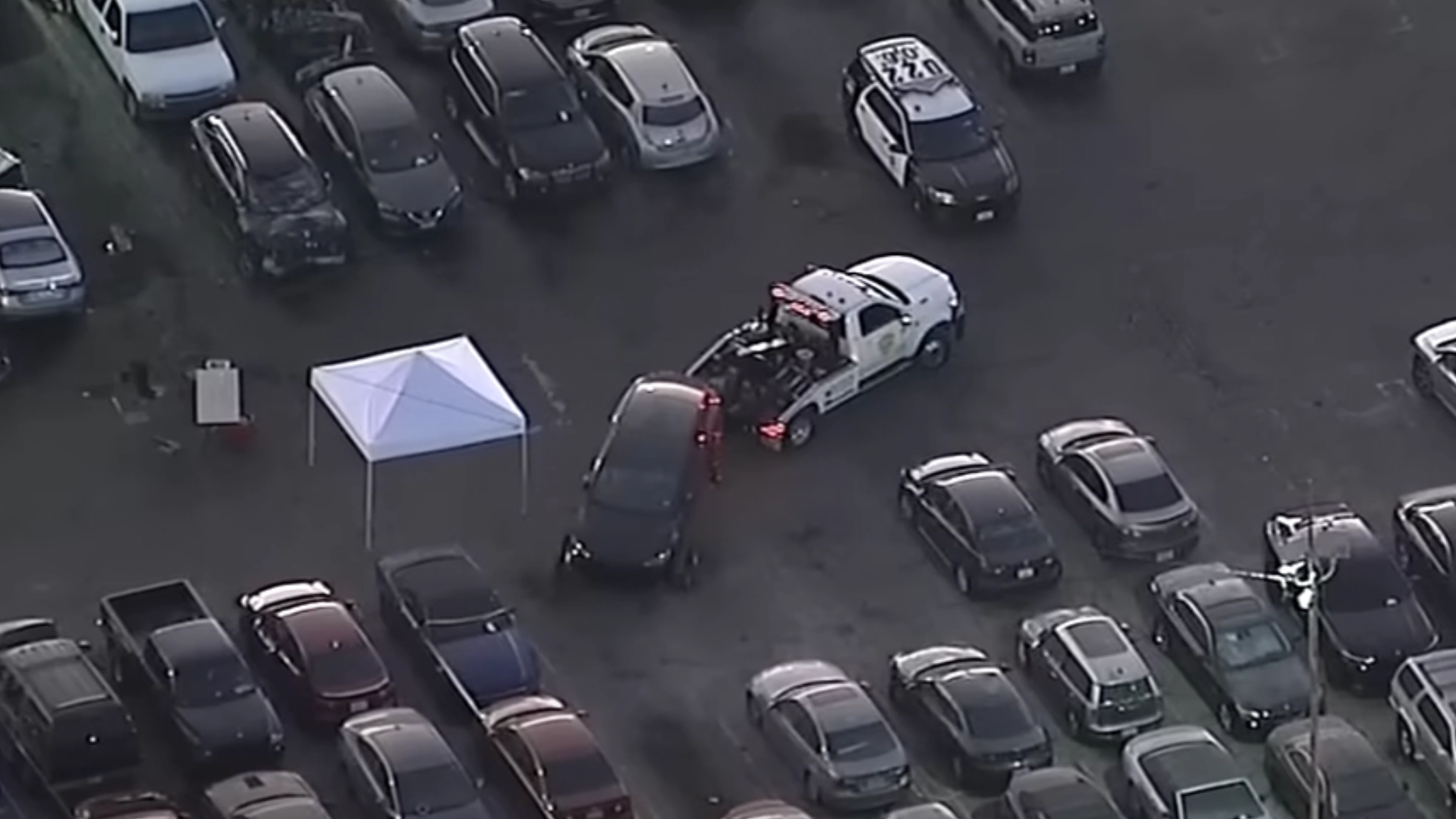Decomposing body found inside trunk of abandoned Tesla allegedly owned by US singer