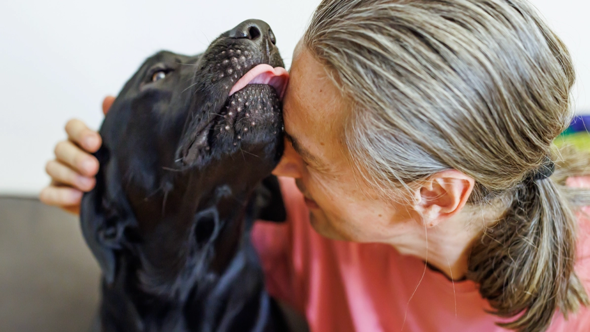 Doctor issues chilling warning as to why you should never let your dog lick your face