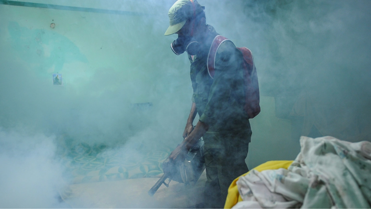 Expert reveals if another pandemic is likely as China take ‘COVID measures’ after 7,000 cases of chikungunya virus