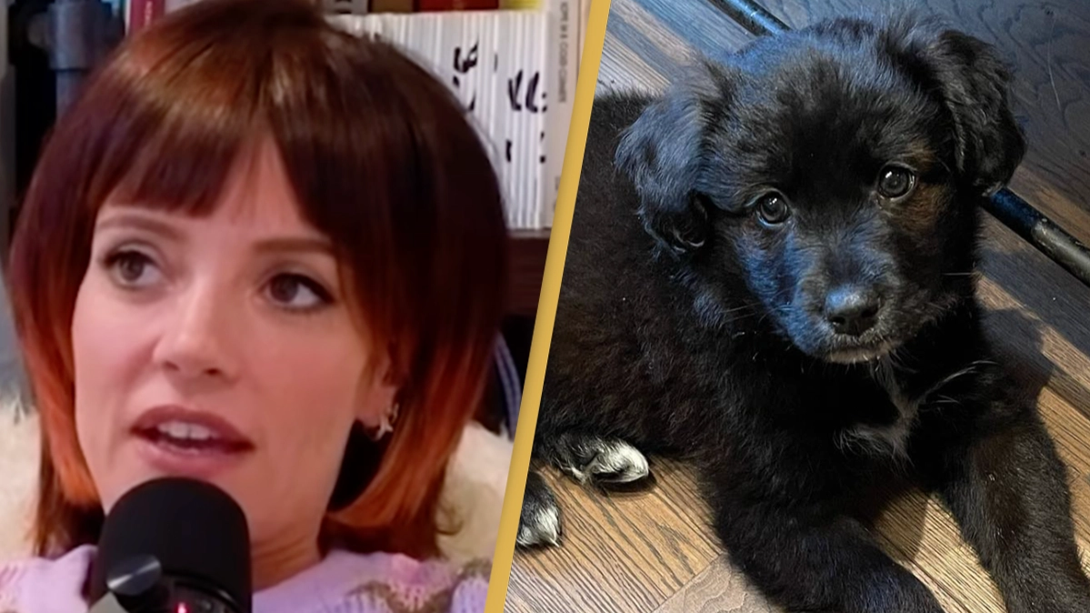 Lily Allen under fire for giving dog back to shelter after it ate one small thing