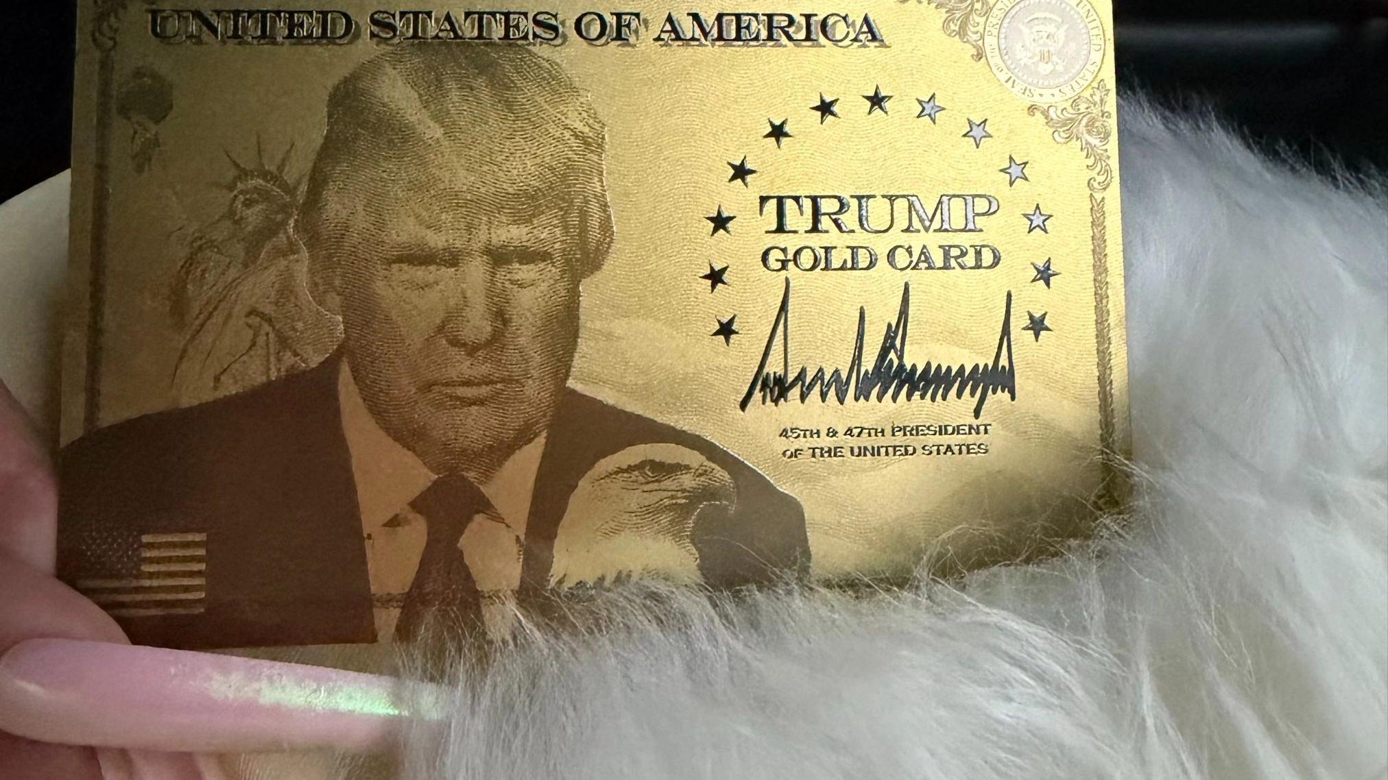 How Trump's $1 million 'Gold Card' program works as Nicki Minaj seemingly receives one