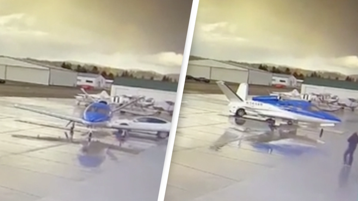 Tesla Summoned To Owner On Autopilot Crashes Into An Aeroplane