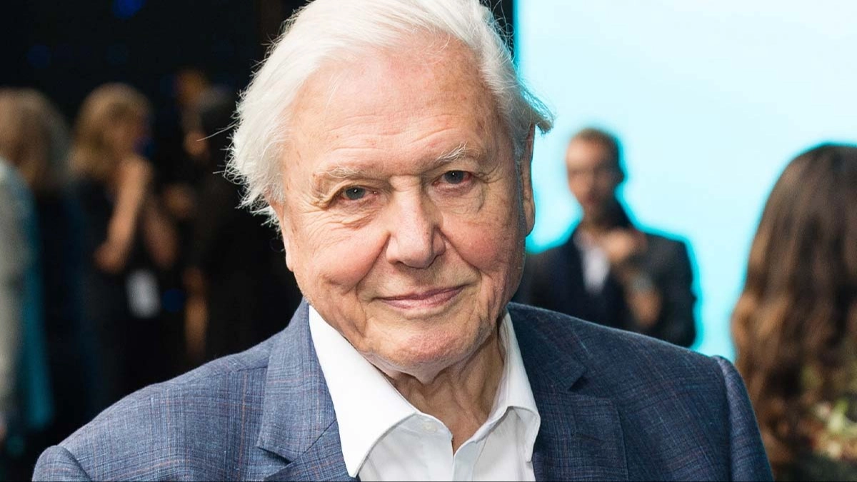 Human skull found in David Attenborough's garden helped end a 131-year-old murder case
