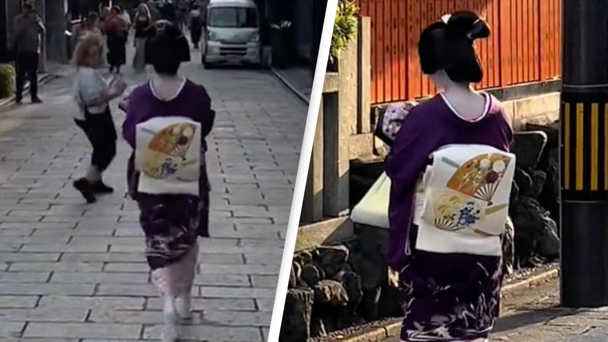 Online video showcases one of the reasons 'Japan bans tourism in certain places'