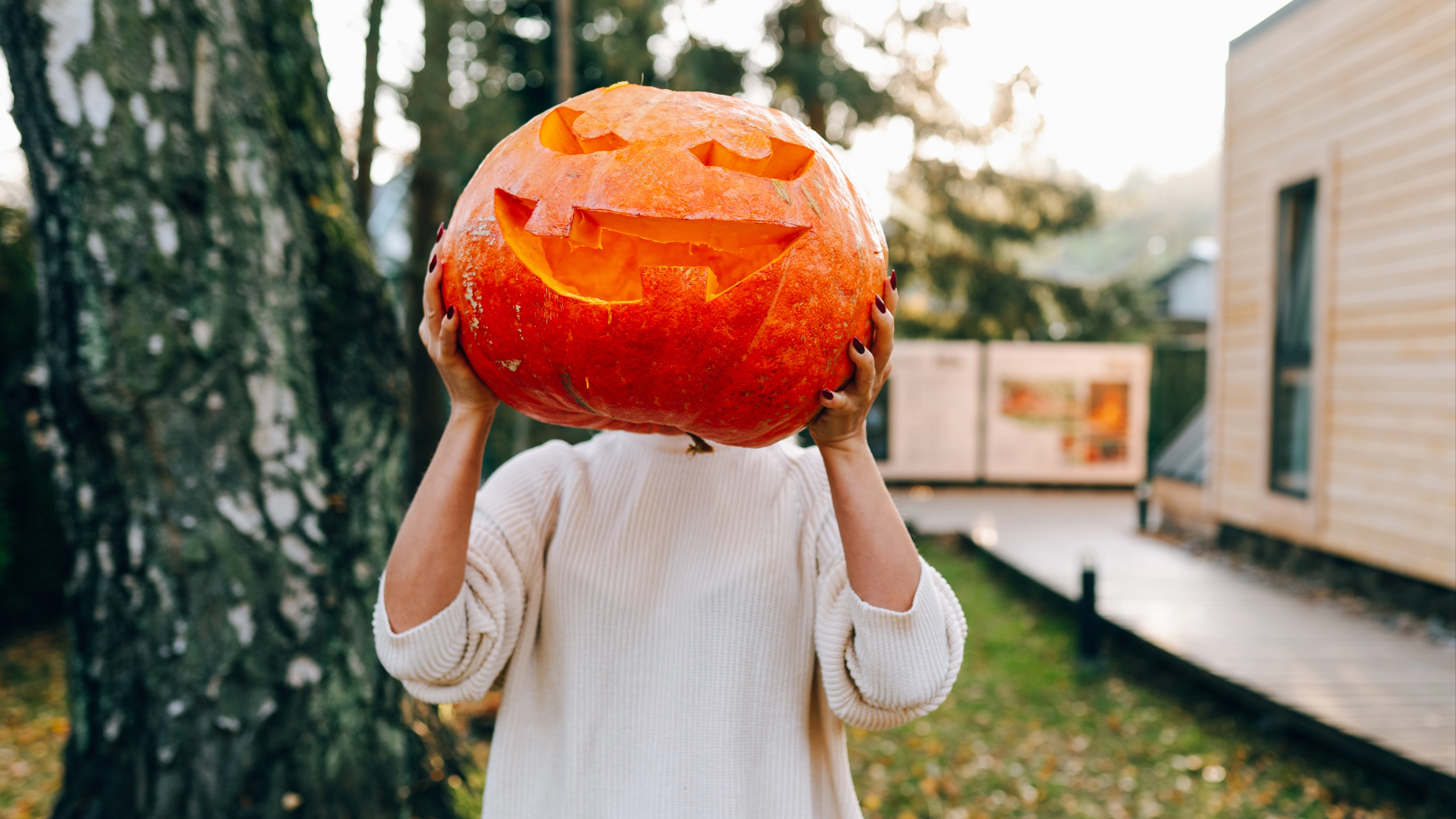 People left 'extremely disturbed' after discovering what Halloween Jack O'Lanterns originally looked like