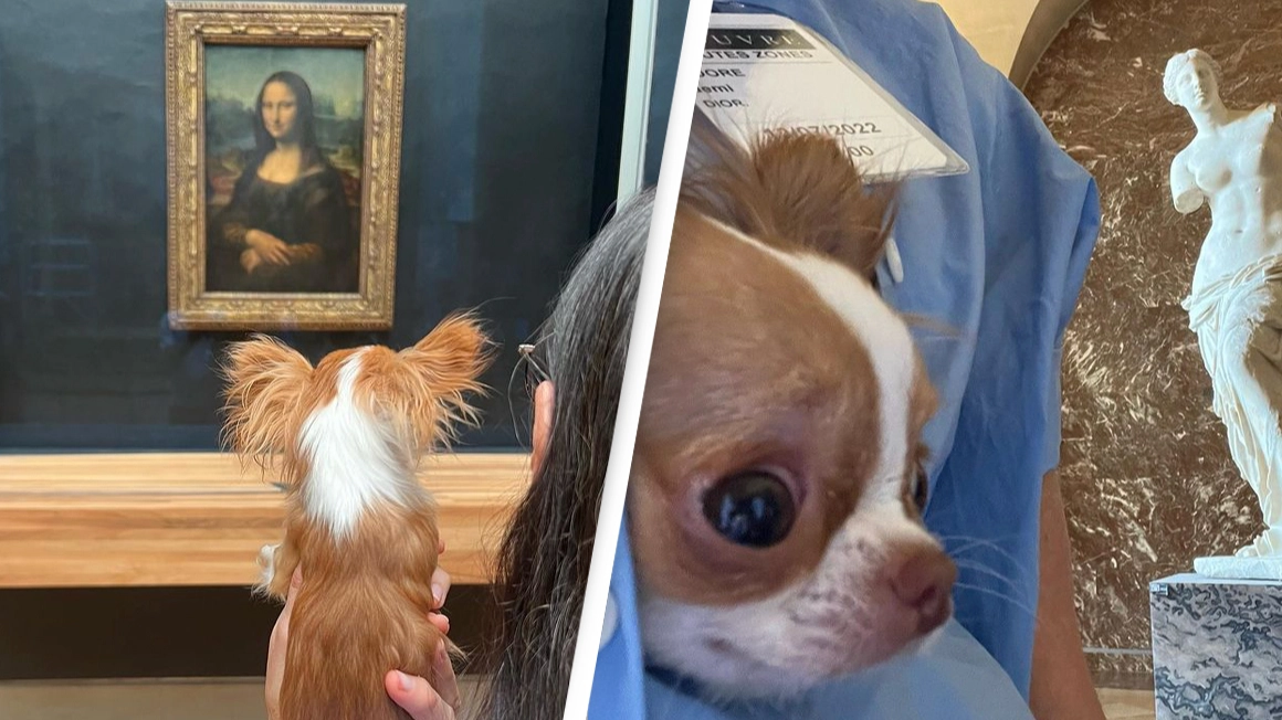 Demi Moore Called Out For Sneaking Her Dog Into The Louvre