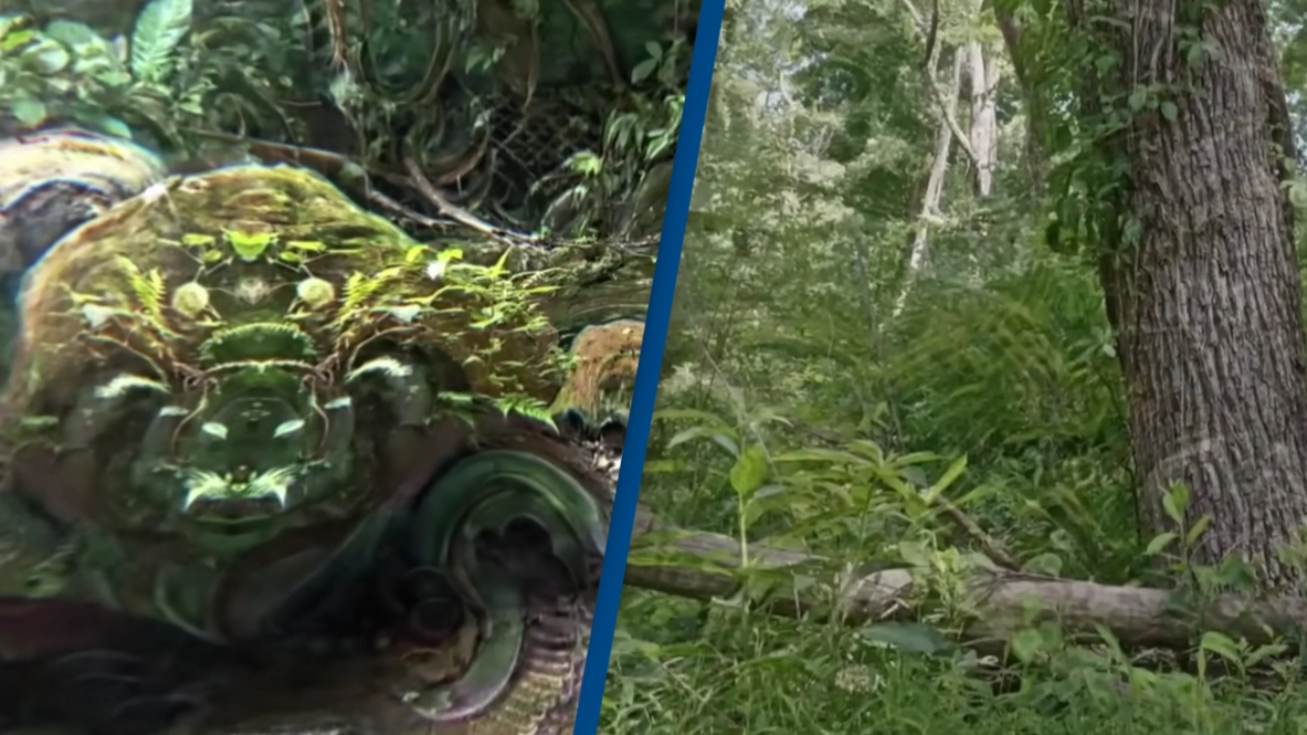 Video shows ‘most accurate’ representation of what psychedelic visuals look like