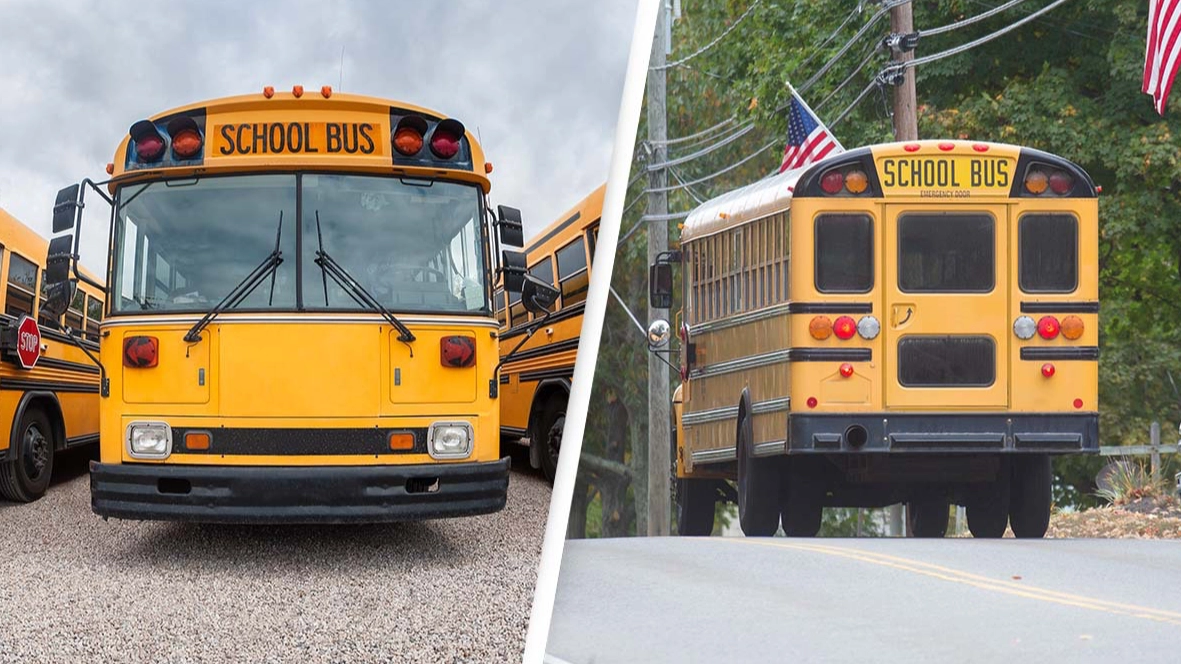 Real reason why school buses were all made yellow nearly 100 years ago