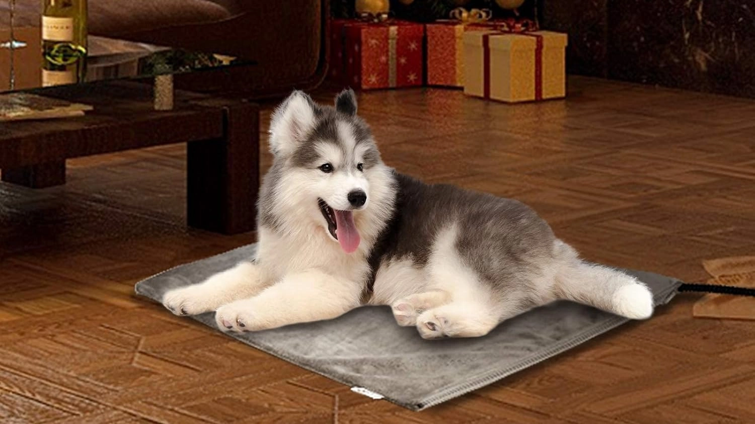 Pet expert issues warning about heated dog beds amid ‘dramatic’ temperature drop