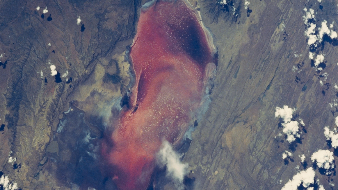 Truth behind ‘one of the world’s deadliest’ lakes that turns animals to ‘stone’