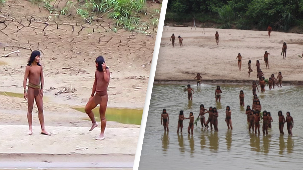 Rare new photos show uncontacted tribe living dangerously close to logging activity in 'humanitarian disaster'