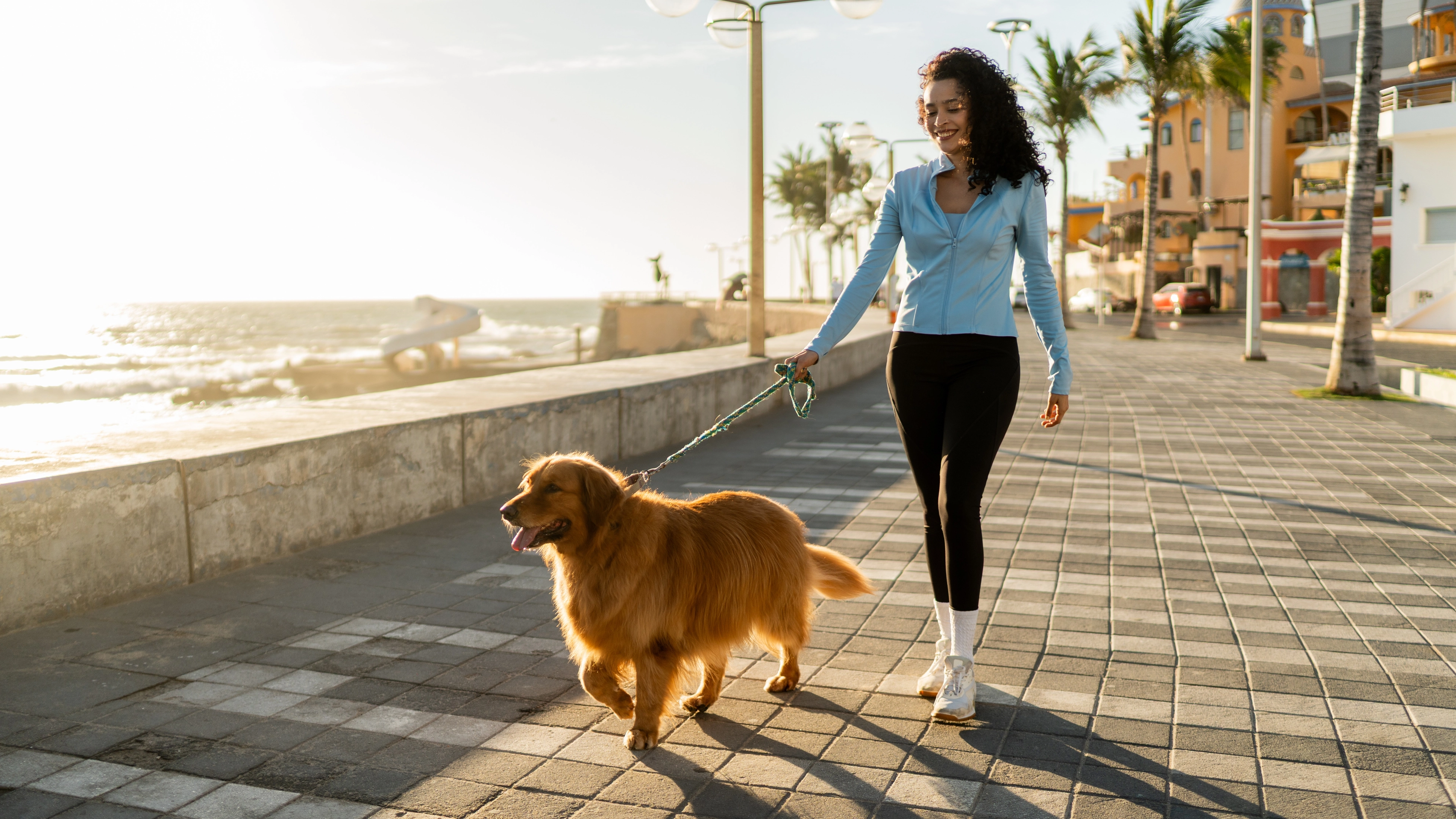 Experts reveal common dog-walking mistake owners make