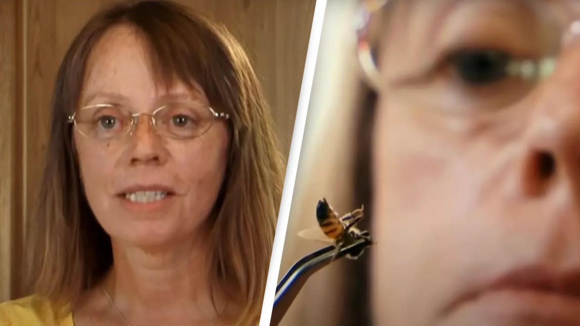 Woman develops 'full-blown addiction' to bee stings for pain relief and 'great sex'