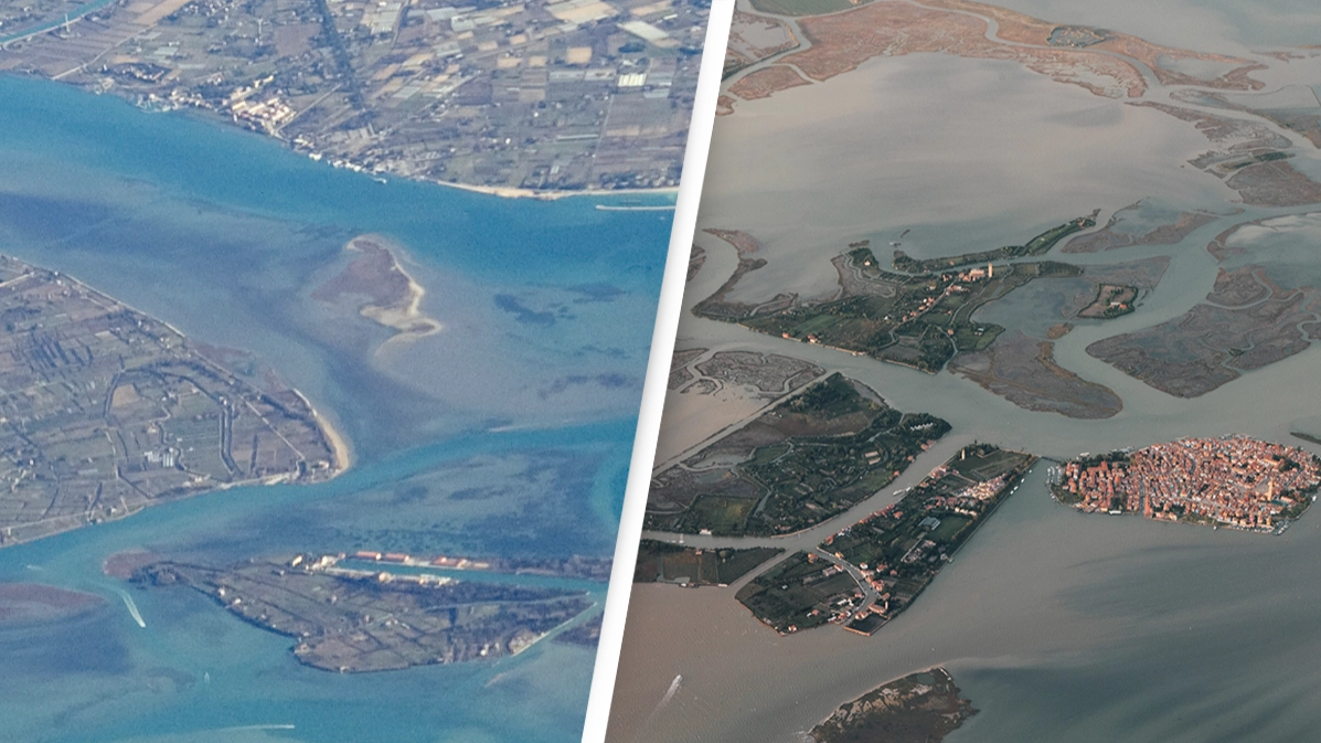 ‘Secret’ island emerges from sea with its own ecosystem and it has experts concerned