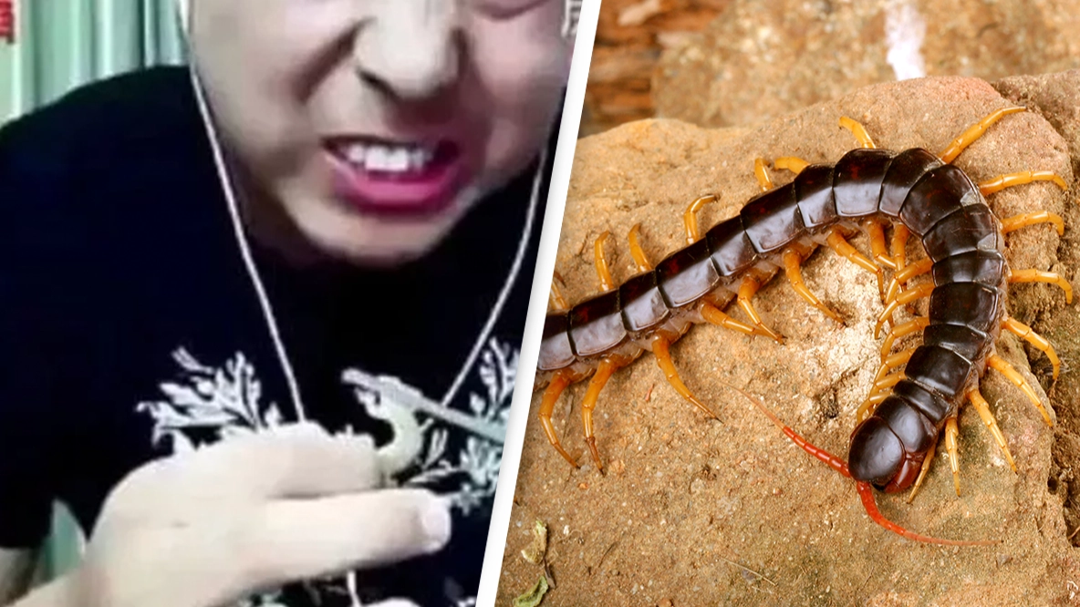 Influencer died while live-streaming himself eating poisonous centipedes