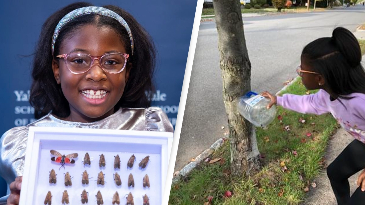 Little Black girl who was reported to police for spraying trees is honored by Yale
