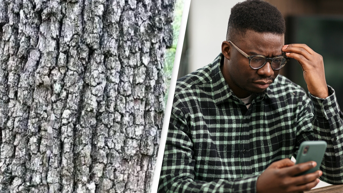 People baffled trying to spot incredibly dangerous animal hiding in this picture