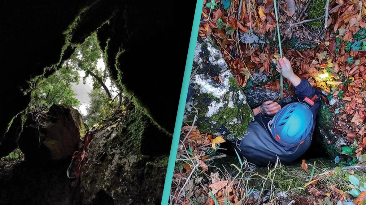 ‘Large’ creature and suspected 'new species' found lurking in ‘underground cavern’
