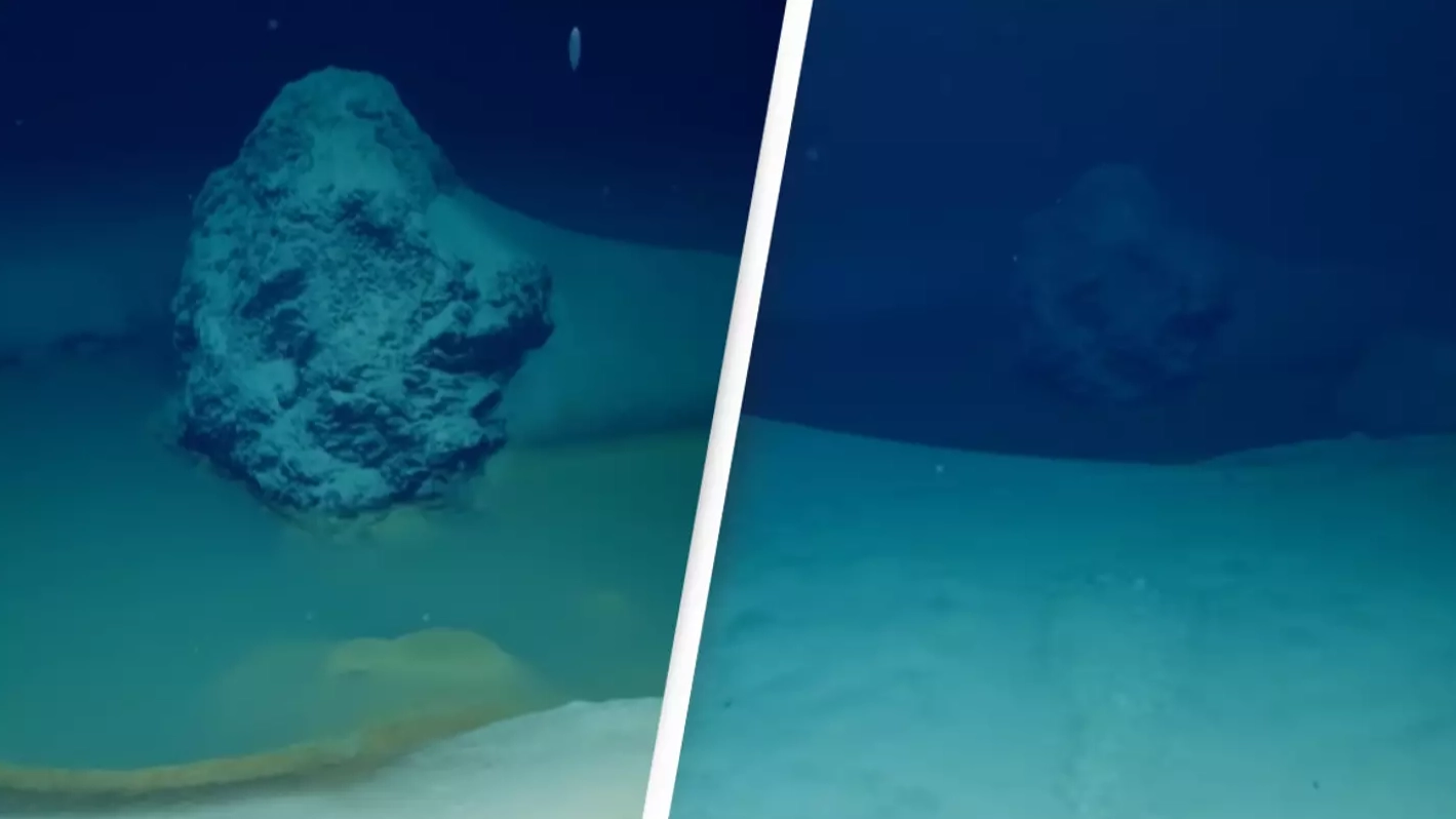 Deadly pool at bottom of ocean kills anything that swims into it