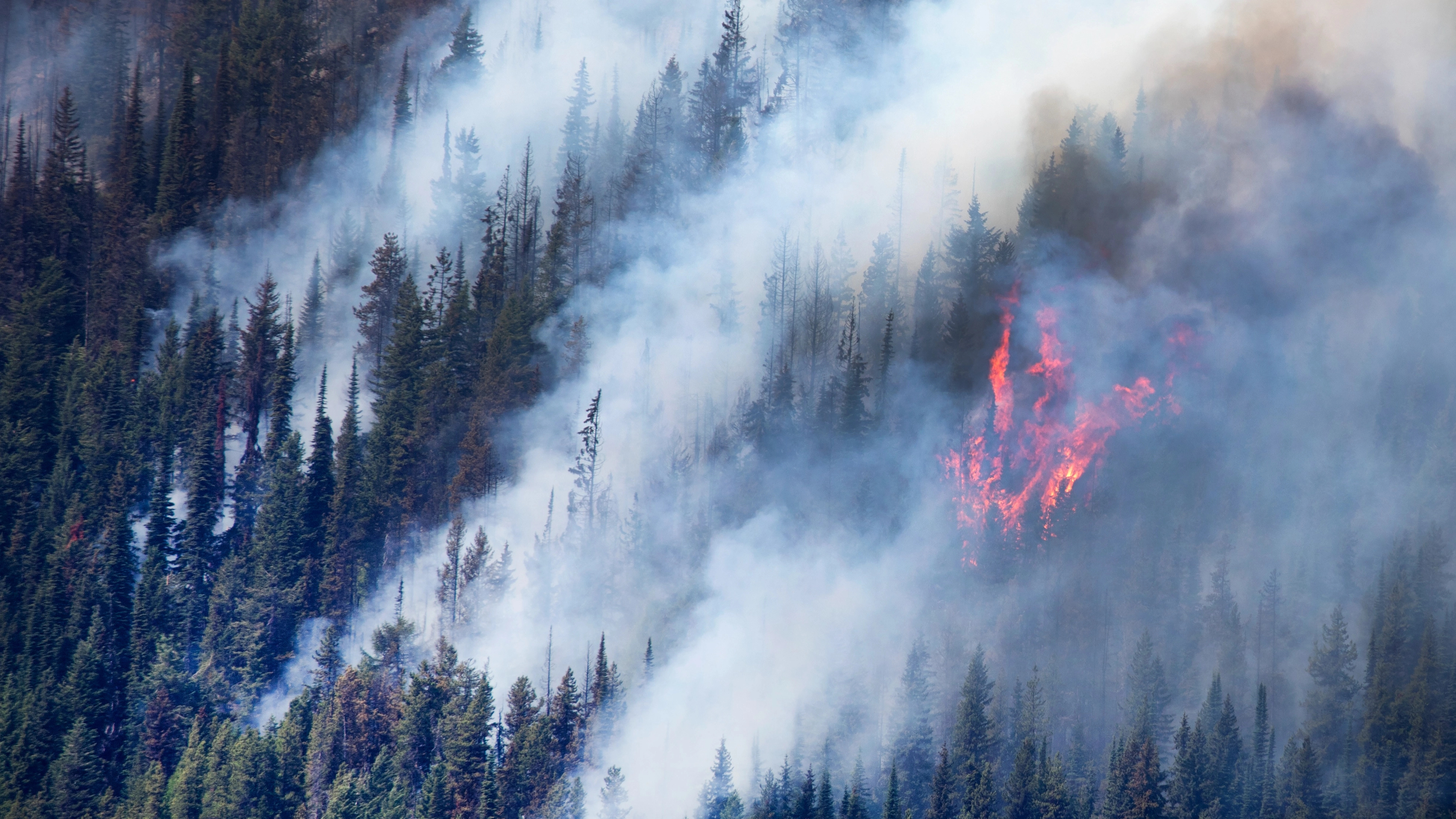 Millions of Americans are facing extremely hazardous air quality as smoke descends on the country