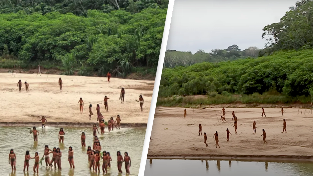 Uncontacted Amazon tribe attack intruding loggers with arrows in 'humanitarian disaster'
