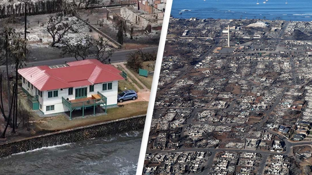 Haunting picture shows sole red house that survived Hawaii wildfires