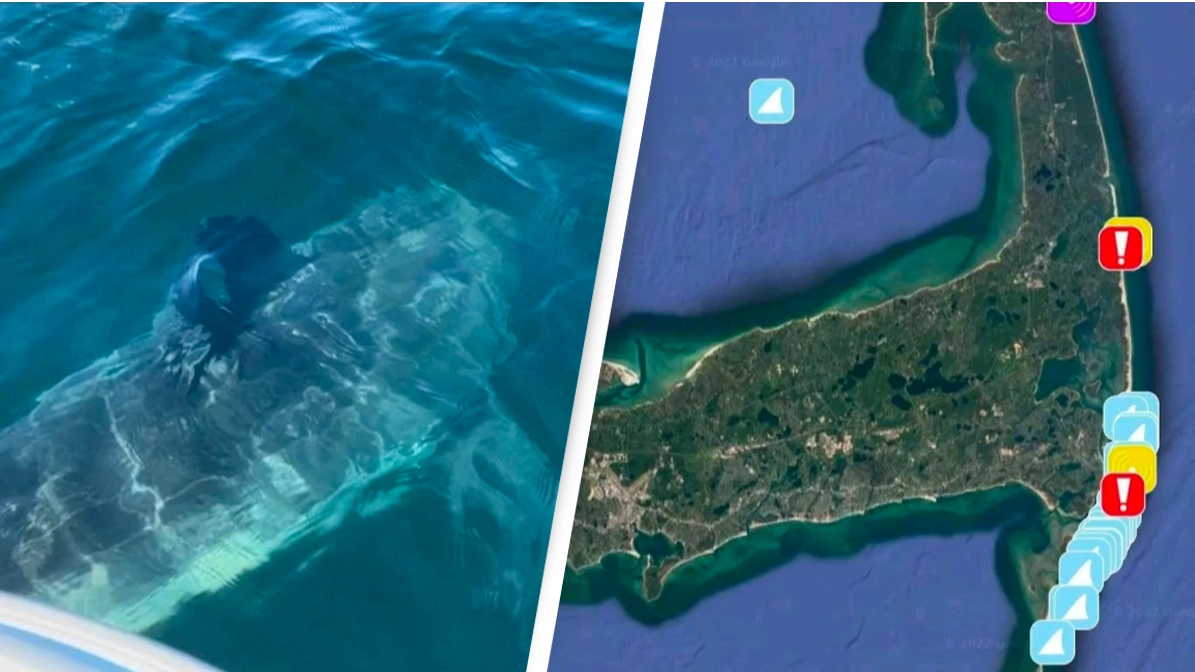 Gigantic 14ft great white shark spotted off US coast