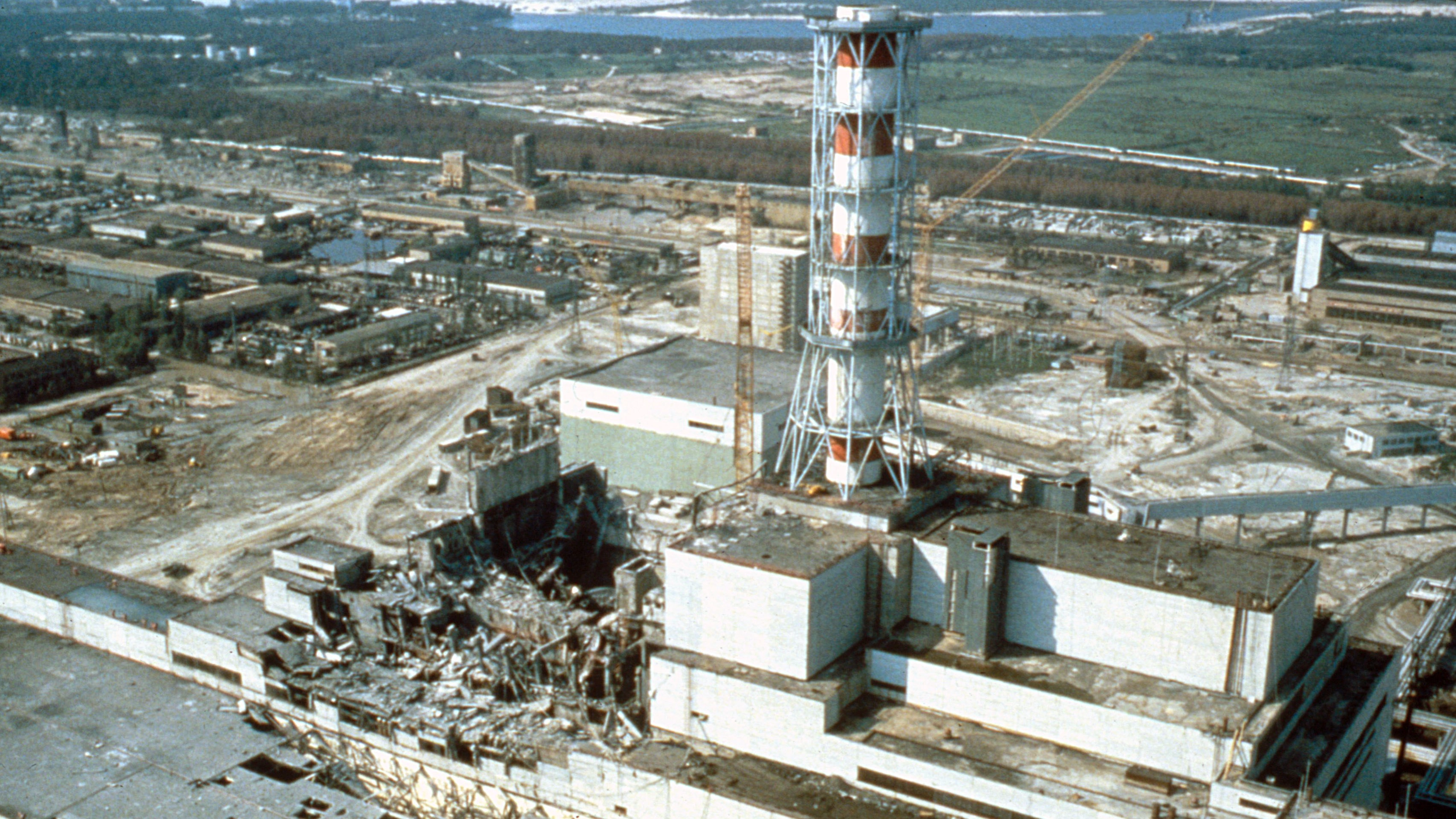 How fungus inside one of the most radioactive reactors in Chernobyl is able to absorb deadly radiation