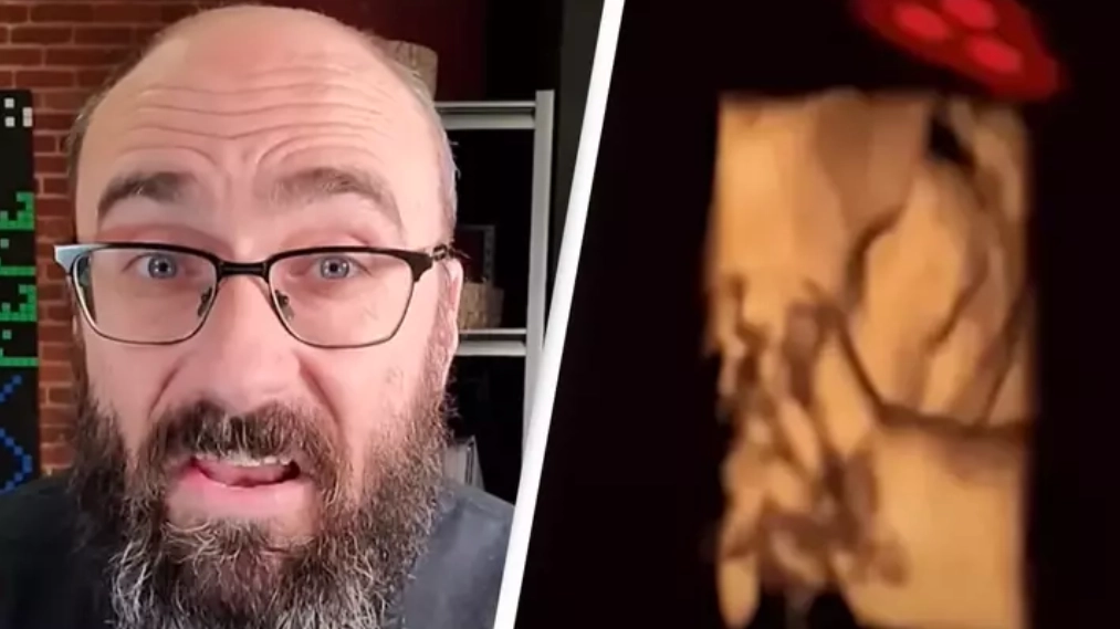 Scientists now know what you saw before you were born