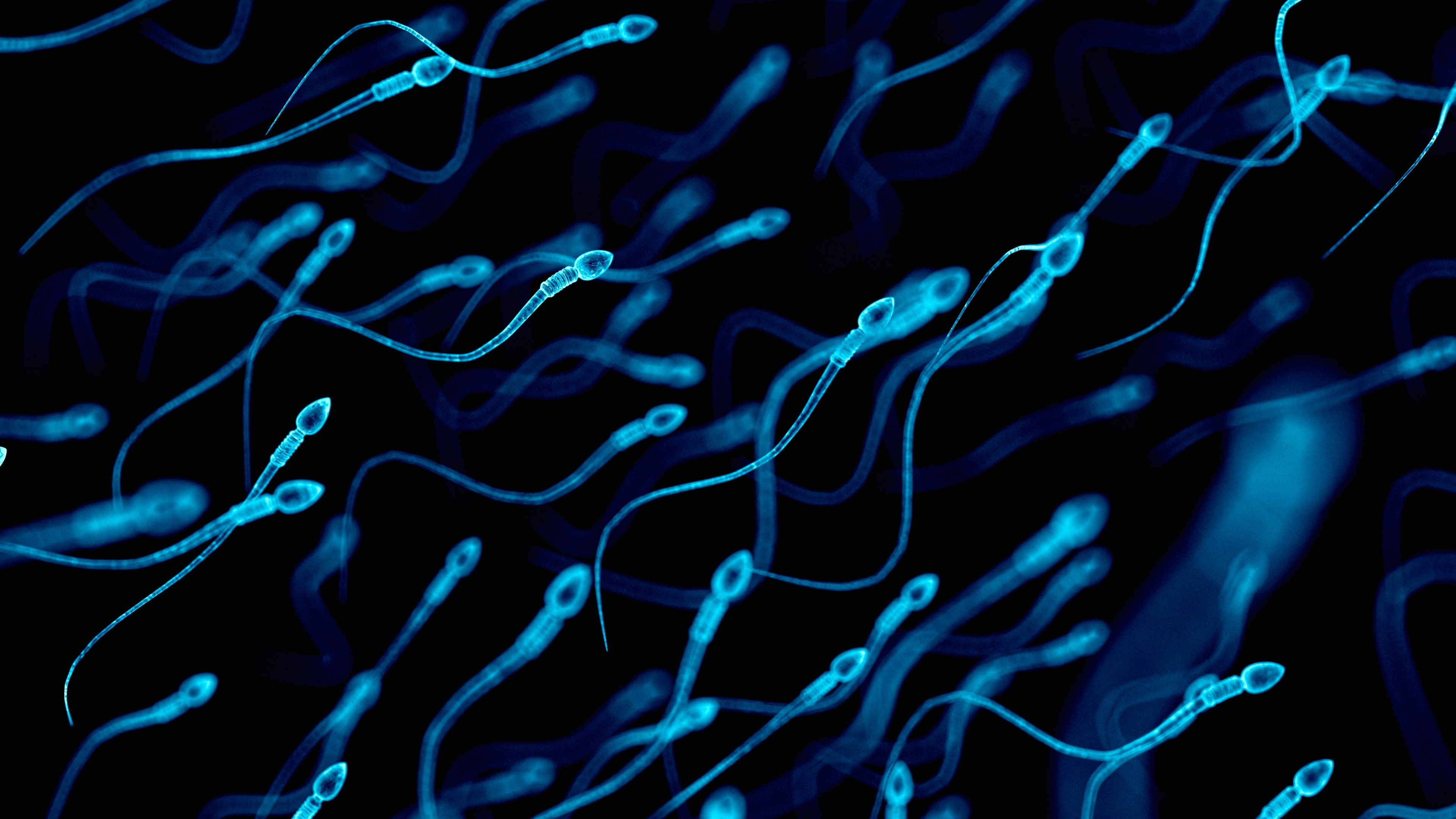 Doctor reveals how stress impacts sperm and fertility 