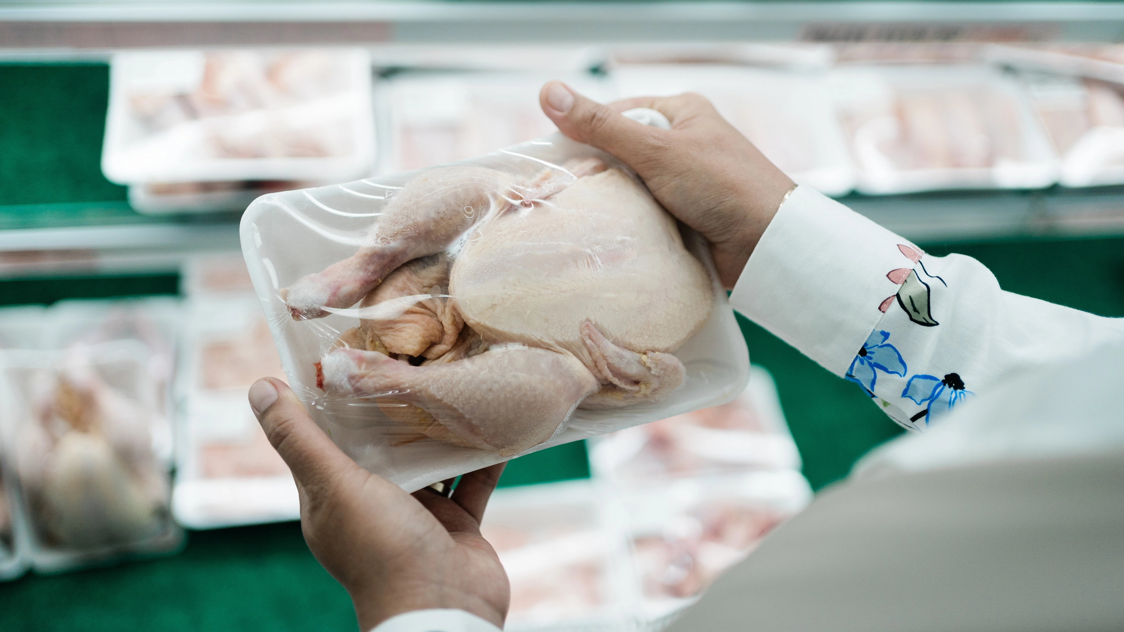 Deadly bacteria linked to chicken and eggs found in 13 states as officials issue warning