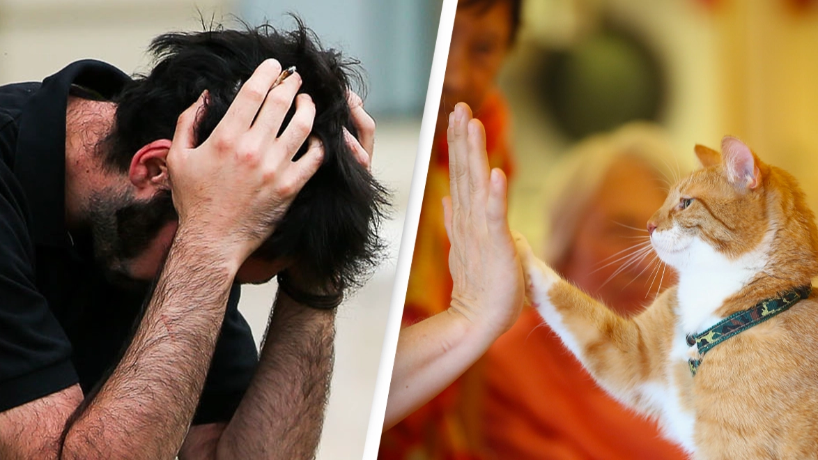 Elderly woman leaves her entire $2.8 million fortune to pets instead of her children