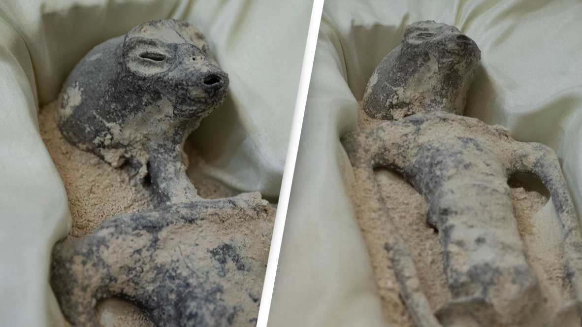 Scientists unsure what ‘unknown species’ is after finding ‘non-human’ DNA